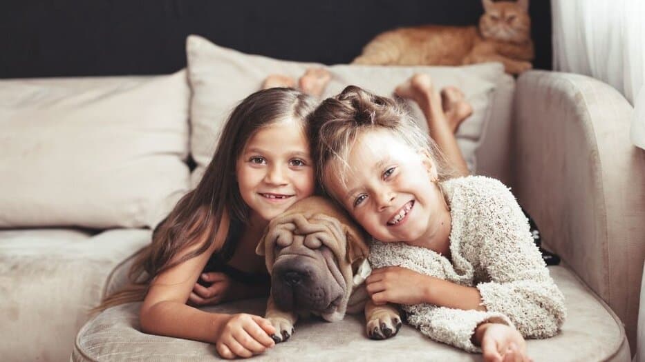 Good Pets For Small Spaces 2024 www.leadctr